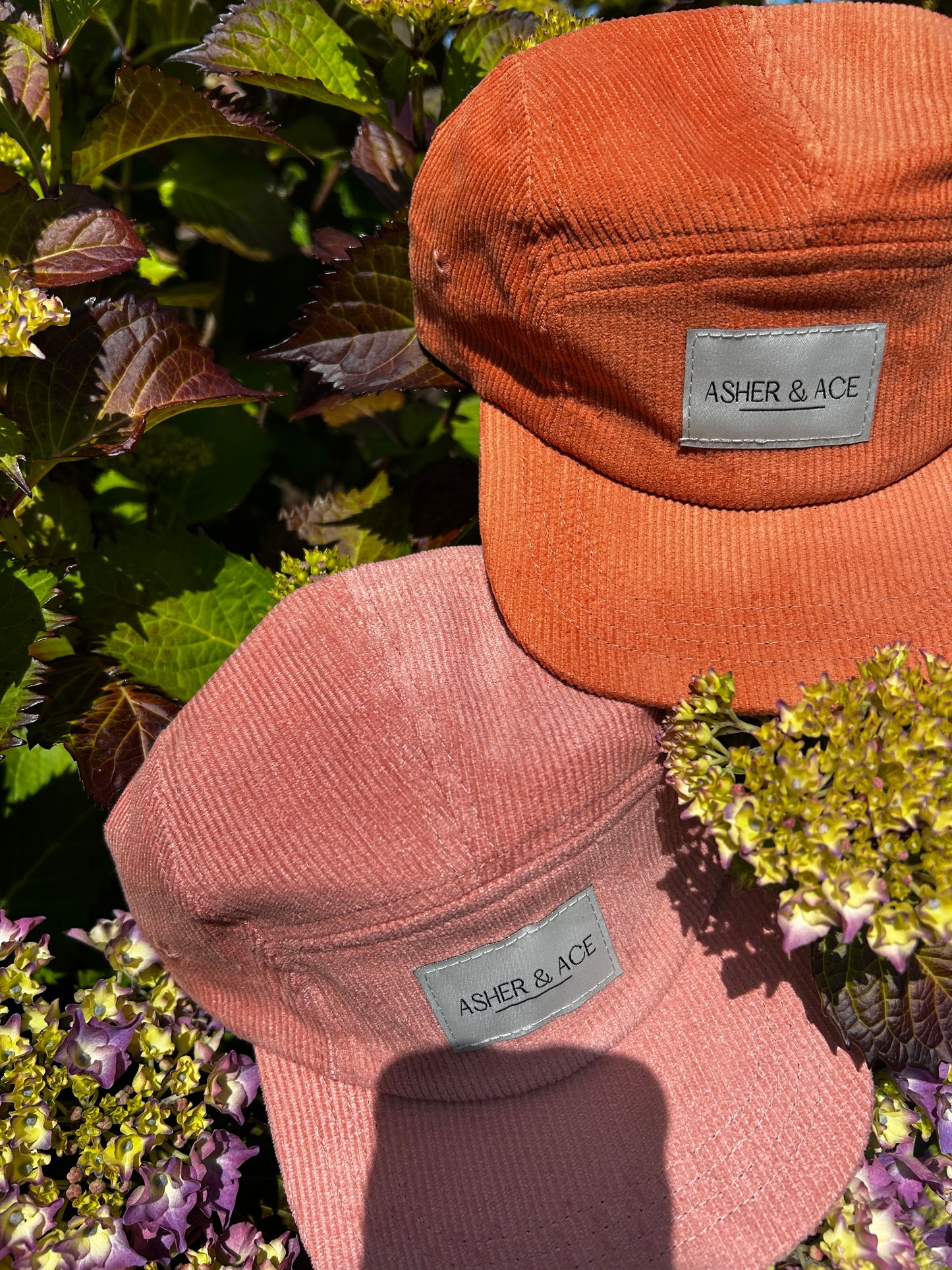 Asher & Ace Cap in Blush