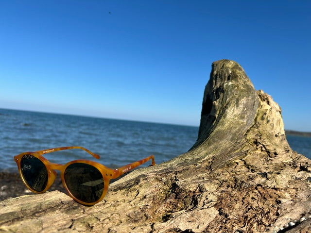 Kids Sunglasses