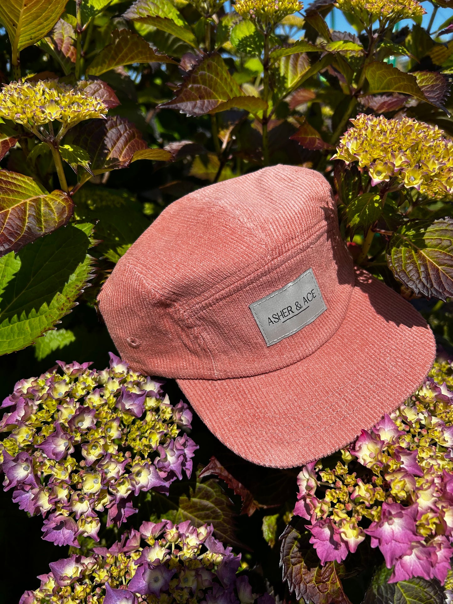 Asher & Ace Cap in Blush